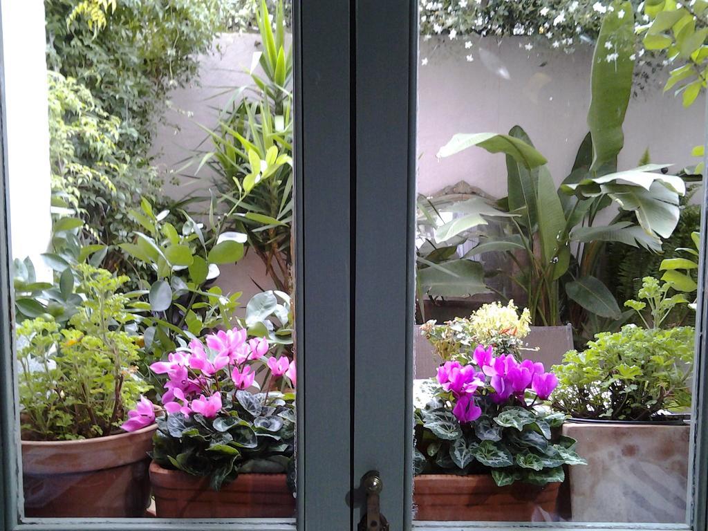 Casa Les Olives - Adults Only Guest House Benigembla Exterior foto